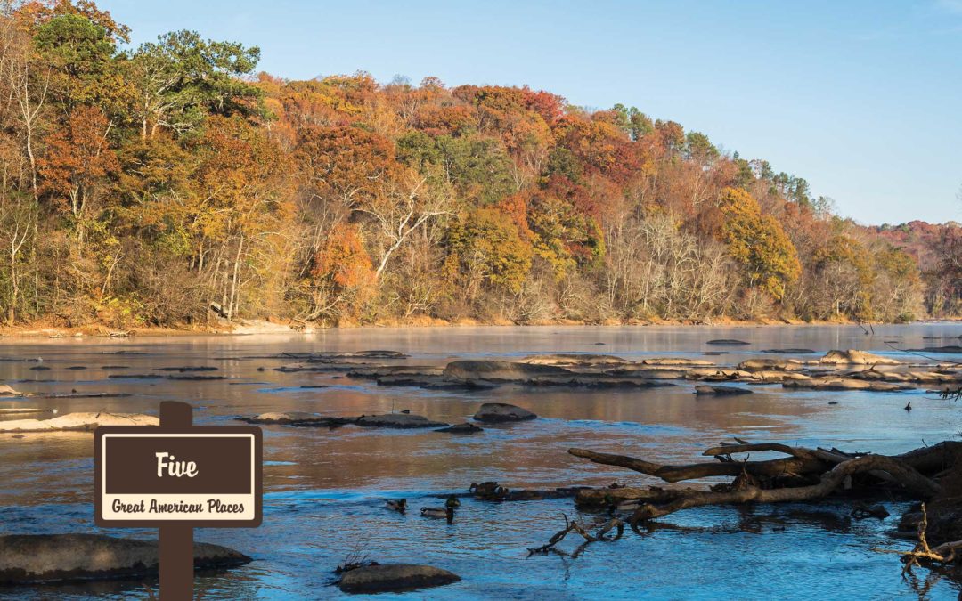 Chattahoochee-Oconee National Forests