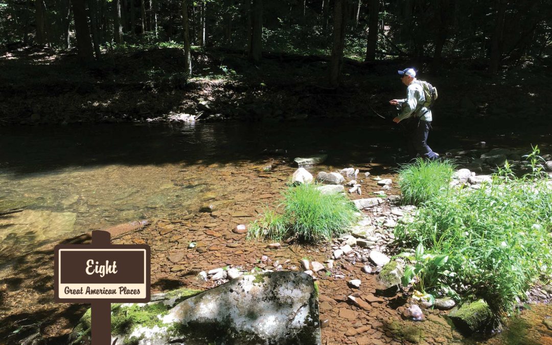 Monongahela National Forest