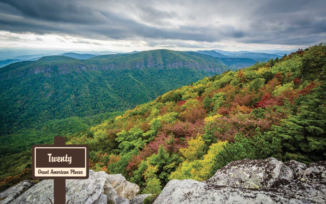 Pisgah National Forest